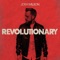 Revolutionary - Josh Wilson lyrics