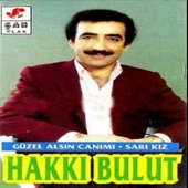 Kul Hatasız Olmaz artwork