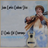Canto Del Charango artwork