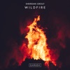 Wildfire - Single