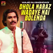 Dhola Naraz Wadaye Nai Bolenda artwork