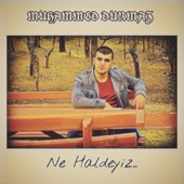 Ne Haldeyiz (feat. Sanjar) artwork