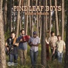 Pine Leaf Boys - Pardon Waltz
