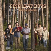 Pine Leaf Boys - Musicien Avec Un Coeur Casse