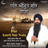 Har Amrit Sar Nata artwork