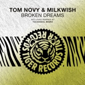 Broken Dreams (Miqro Funky Remix) artwork