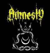Amnesty - Without Amnesty
