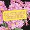 Restless (Kraak & Smaak Remix) artwork