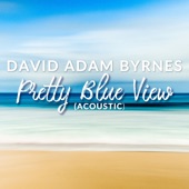 Pretty Blue View (Acoustic) artwork