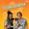 Teimosinha - Single