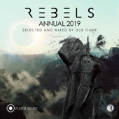 Rebels Annual 2019 - Selected & Mixed by Dub Tiger artwork