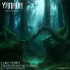 Tales from the Forest - EP album lyrics, reviews, download