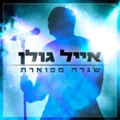 שגרה מפוארת artwork