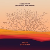 I Know Now (Afta Dina Mint Remix) artwork