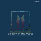 Epiphany in the Woods artwork