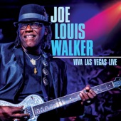 Joe Louis Walker - I'm Not Messin' Around