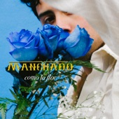 Manchado - Como la Flor