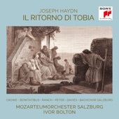 Haydn: Il ritorno di Tobia artwork