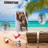 Summertime - Single