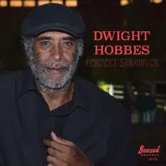 Perfect Stranger by Dwight Hobbes album reviews, ratings, credits