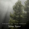 Voices of the Forest - EP