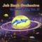 Swimming with Dolphins - Jeb Bush Orchestra lyrics