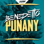 Punany artwork