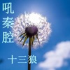 十三狼 - 他大舅他二舅都是他舅