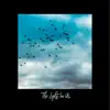 The Light in Us - Single album lyrics, reviews, download