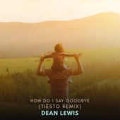 How Do I Say Goodbye (Tiësto Remix) artwork