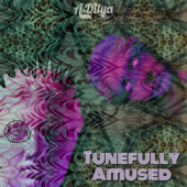 Tuned Levels - Artditya