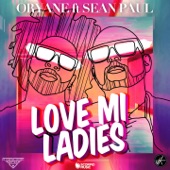Love Mi Ladies (feat. Sean Paul) [French Version] artwork