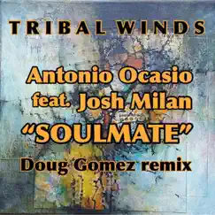 Soulmate (Doug Gomez Remix) [feat. Josh Milan] Song Lyrics