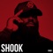 Shook - P Money lyrics