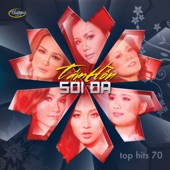 Top Hits 70: Tâm Hồn Sỏi Đá artwork