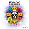 PVNDV Records, Vol. 1