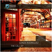 The Call (Mario Puccio Remix) artwork
