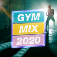 Various Artists - Gym Mix 2020 artwork