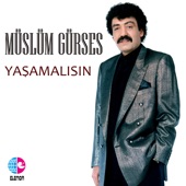 Yaşamalısın artwork