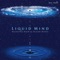 Night Light (Ocean Mix, Pt. 1) - Liquid Mind lyrics