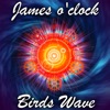 Birds Wave - Single