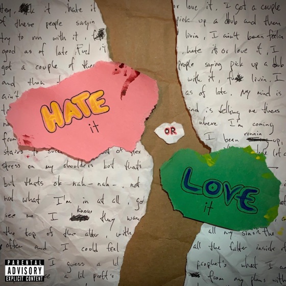 Cover artwork for Hate It or Love It
