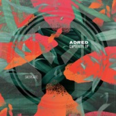 Adred - Captivate (feat. Robert Manos) [Marcus Intalex Remix]