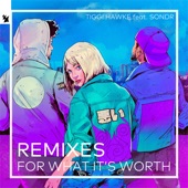 For What It's Worth (feat. Sondr) [Kokiri Remix] artwork