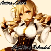 Anima Libera artwork