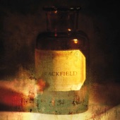 Blackfield (Remastered) artwork
