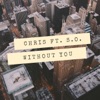 Without You - Single