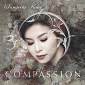 Compassion artwork