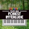 Forest Interlude (From 