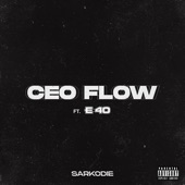 CEO FLOW (feat. E-40) artwork